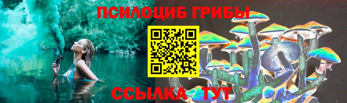 Псилоцибиновые грибы Magic Shrooms  Вход с VPN  купить   Елабуга  Псилоцибиновые грибы Psilocybe 